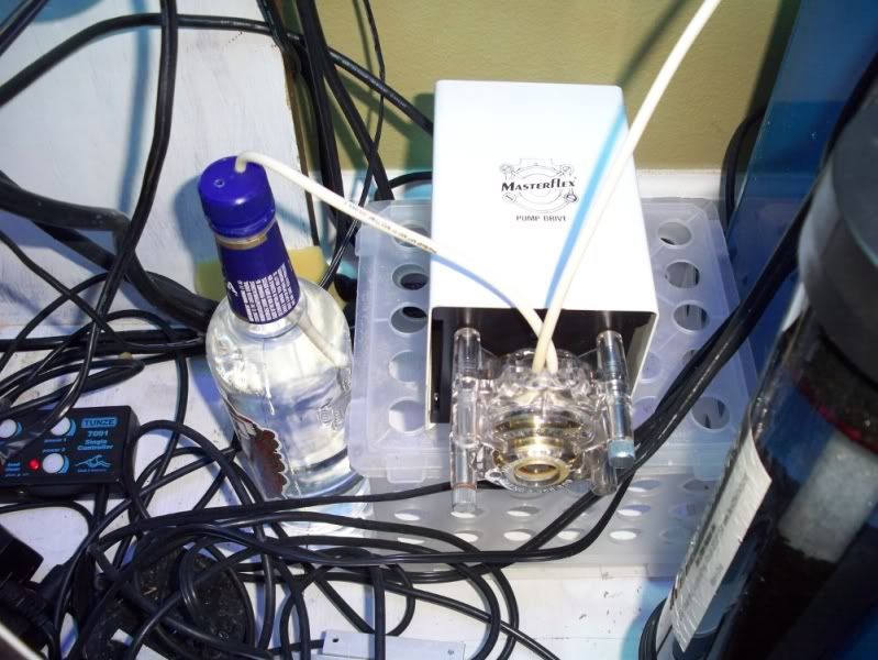 My findings on Masterflex pumps, automated vodka dosing, and continuous